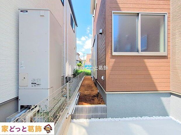 撮影日(2025-07-22 00:00:00)