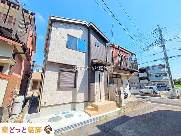 撮影日(2025-07-24 00:00:00)