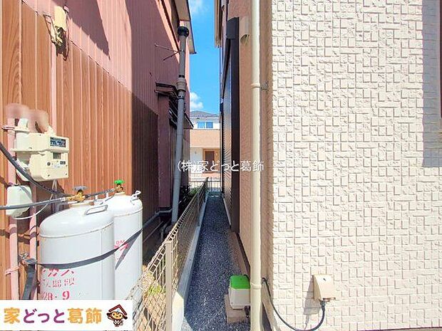 撮影日(2025-07-24 00:00:00)