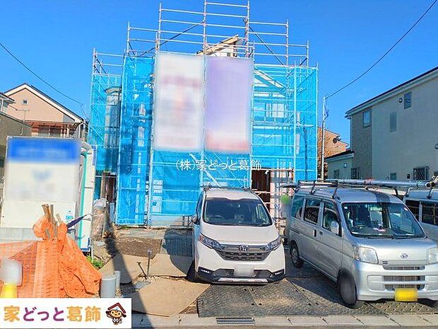 撮影日(2025-11-19 00:00:00)