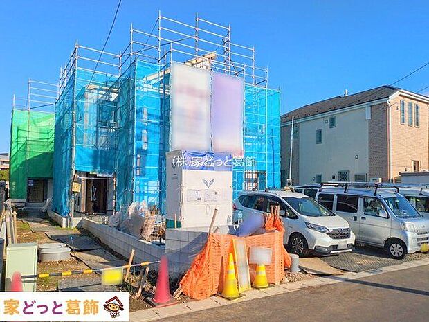 撮影日(2025-11-19 00:00:00)