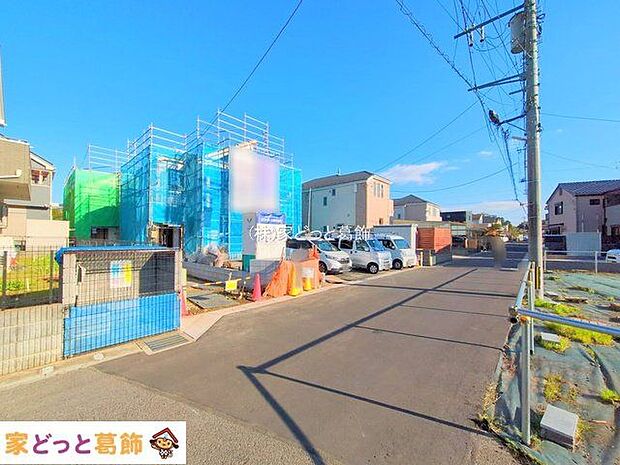 撮影日(2025-11-19 00:00:00)