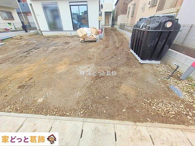 撮影日(2025-12-11 00:00:00)