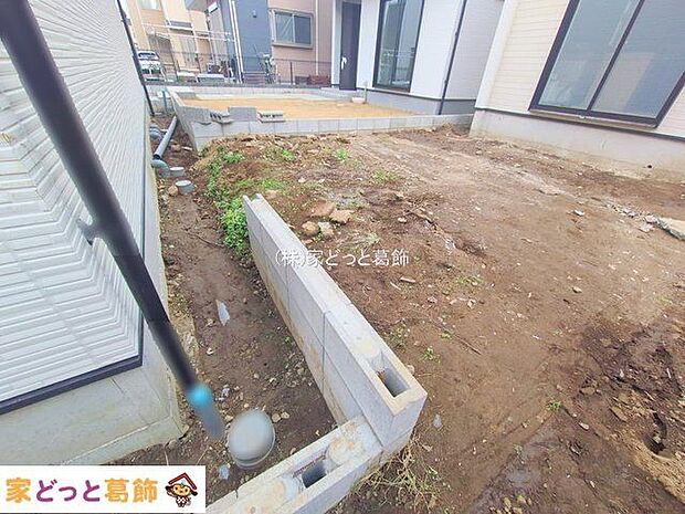 撮影日(2025-12-11 00:00:00)