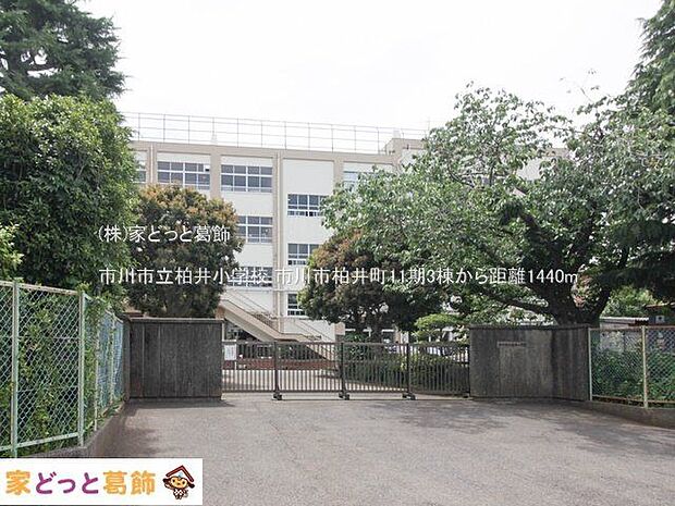 市川市立柏井小学校 撮影日(2023-05-25) 1440m
