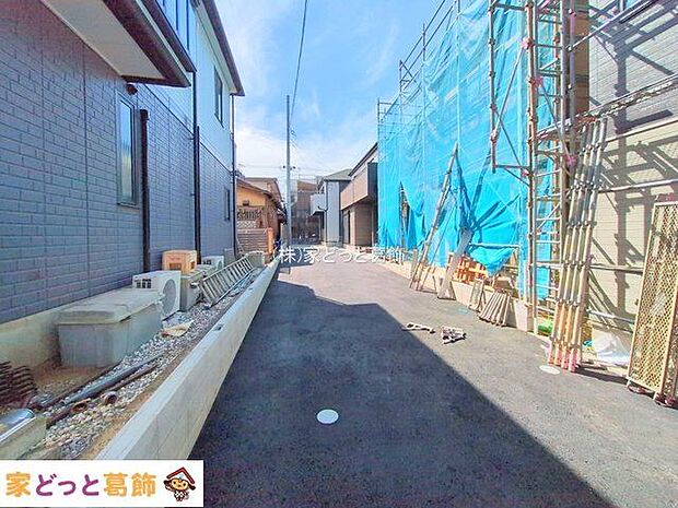 撮影日(2025-10-08 00:00:00)