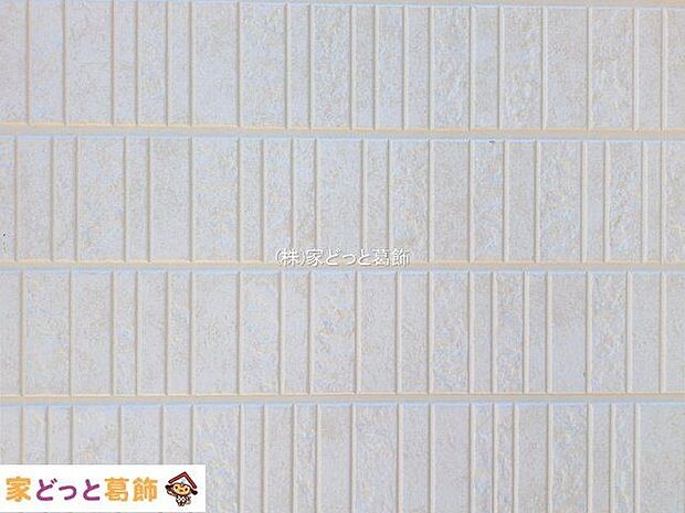 撮影日(2025-10-08 00:00:00)