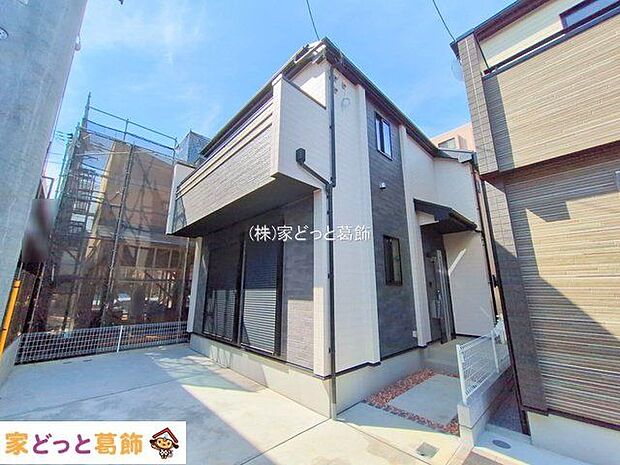 撮影日(2025-10-08 00:00:00)