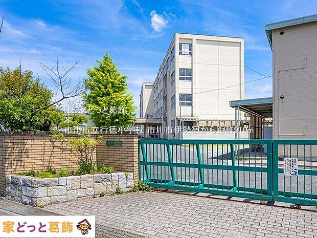 市川市立行徳小学校 撮影日(2022-05-10) 910m