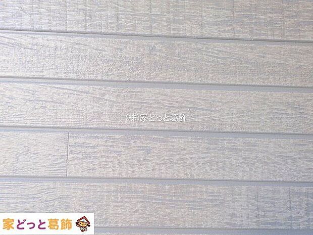 撮影日(2025-11-26 00:00:00)