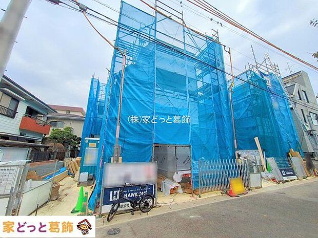 撮影日(2025-10-31 00:00:00)