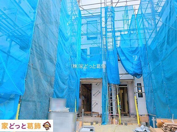 撮影日(2025-10-31 00:00:00)