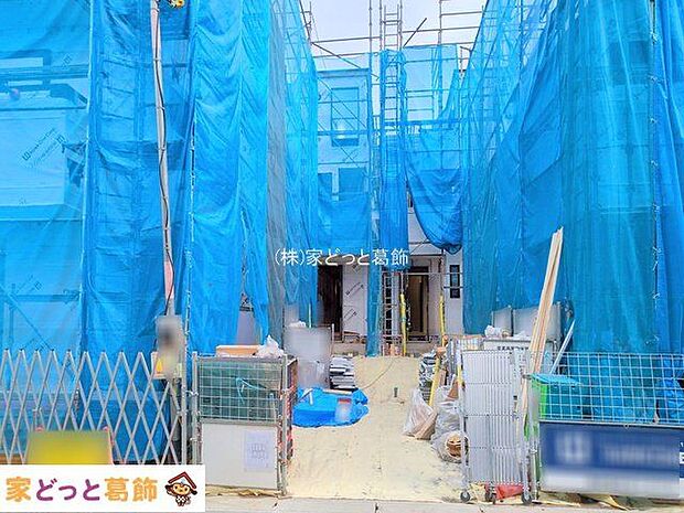 撮影日(2025-10-31 00:00:00)