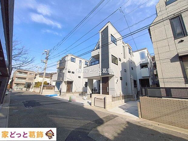 撮影日(2026-01-15)