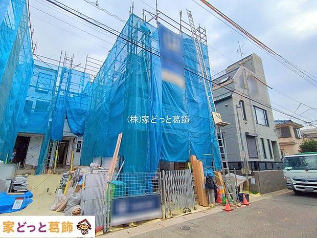 撮影日(2025-10-31 00:00:00)