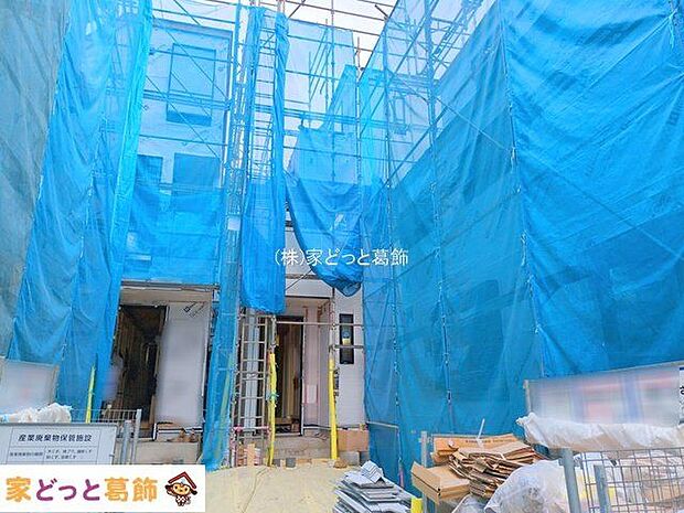 撮影日(2025-10-31 00:00:00)