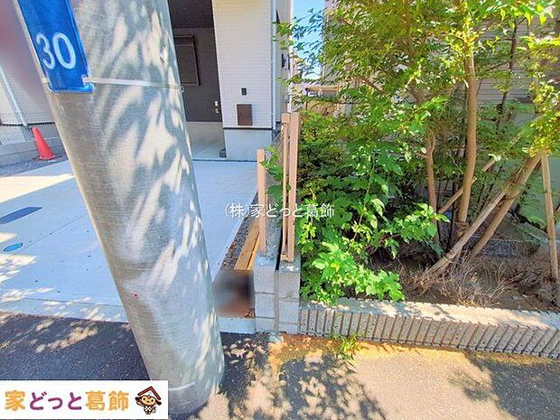 撮影日(2025-07-22 00:00:00)