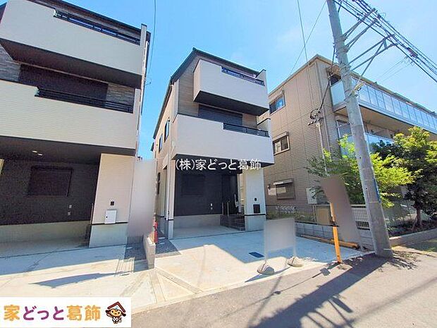 撮影日(2025-07-22)