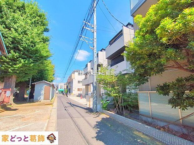 撮影日(2025-07-22)