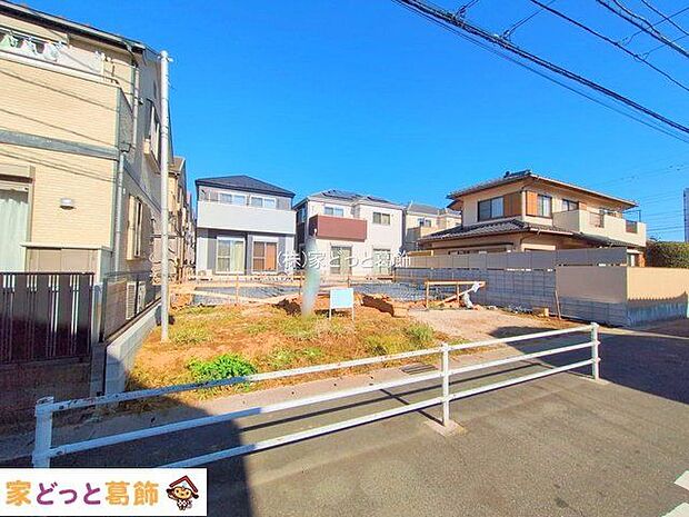 撮影日(2025-11-17 00:00:00)