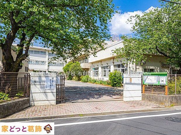 市川市立若宮小学校 撮影日(2022-05-03) 850m
