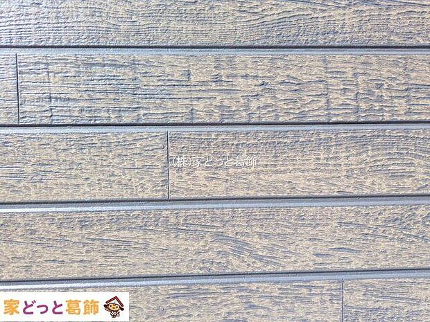 撮影日(2025-11-17 00:00:00)