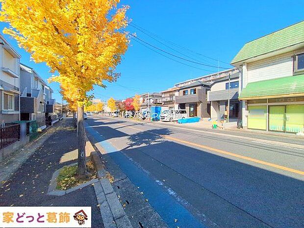 撮影日(2025-11-17 00:00:00)