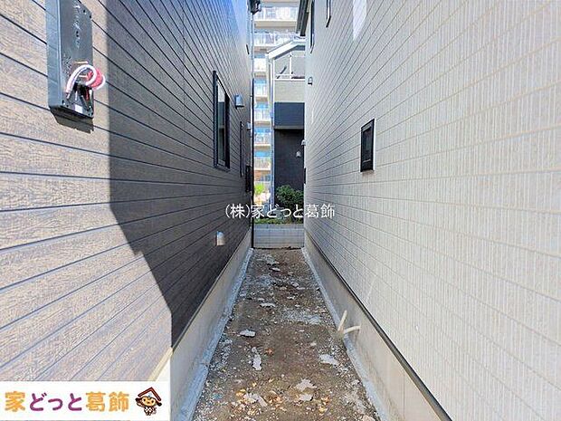 撮影日(2025-11-17 00:00:00)