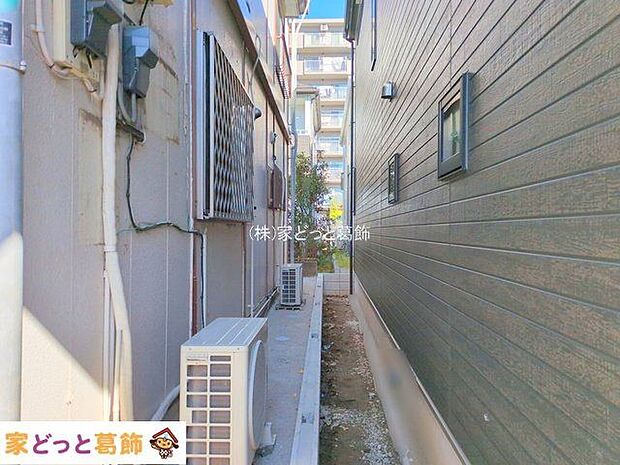 撮影日(2025-11-17 00:00:00)