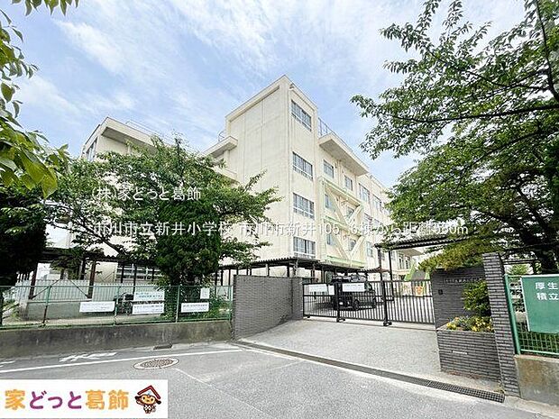 市川市立新井小学校 撮影日(2024-06-06) 550m