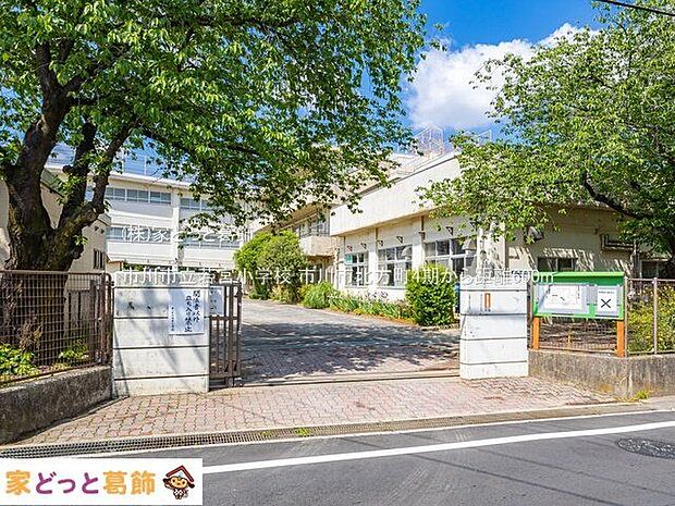 市川市立若宮小学校 撮影日(2022-05-03) 600m