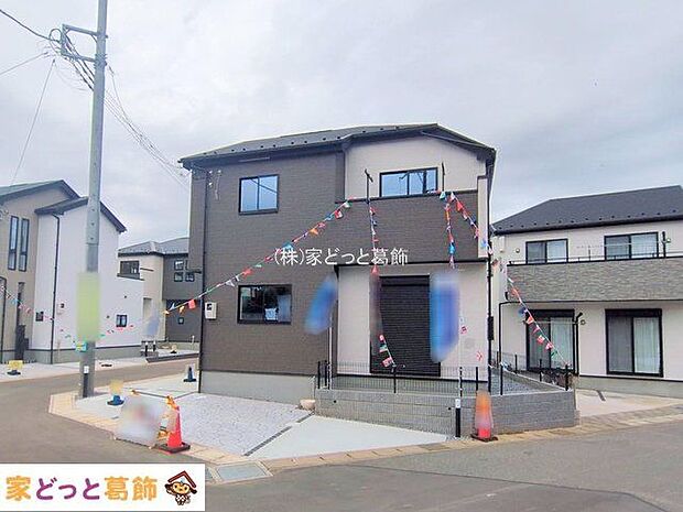 撮影日(2025-11-11 00:00:00)