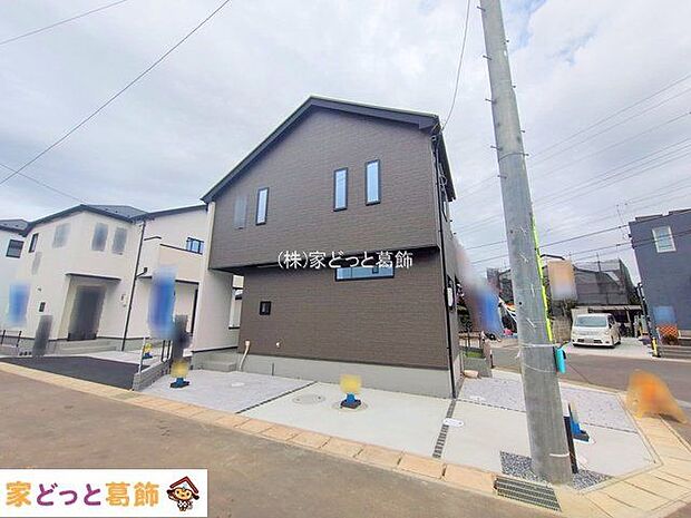 撮影日(2025-11-11 00:00:00)