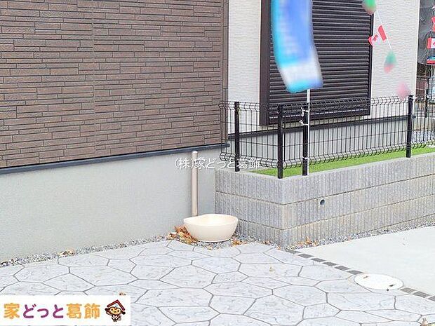 撮影日(2025-11-11 00:00:00)