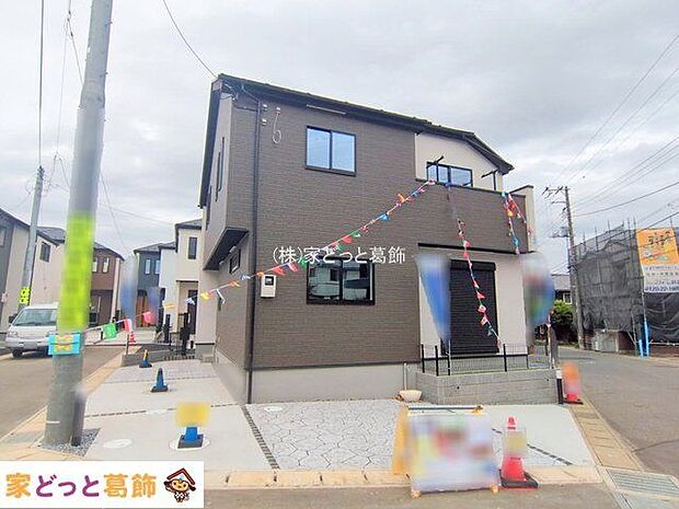 撮影日(2025-11-11)