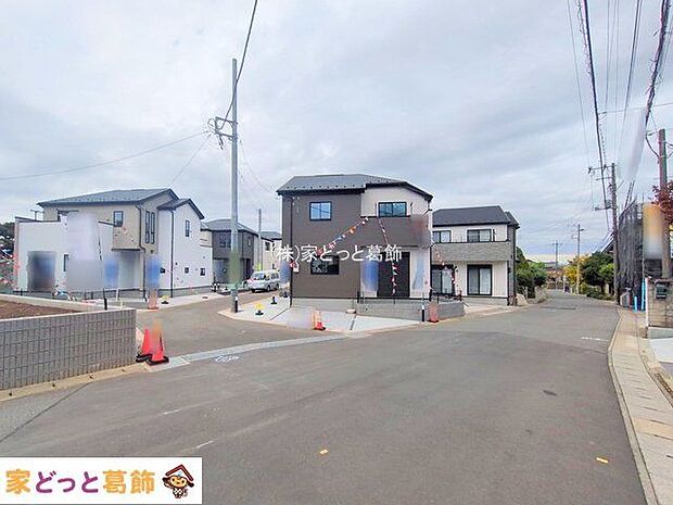 撮影日(2025-11-11)