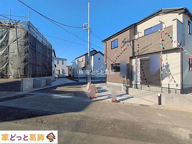 撮影日(2026-01-29 00:00:00)