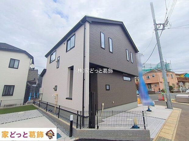 撮影日(2025-11-11 00:00:00)