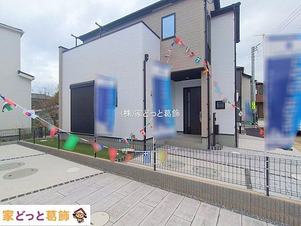 撮影日(2025-11-11 00:00:00)