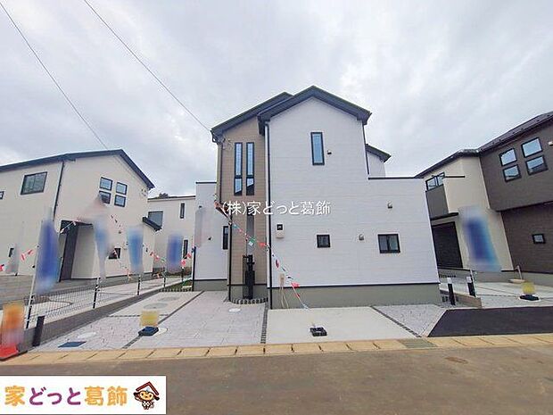 撮影日(2025-11-11)