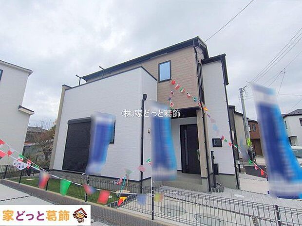 撮影日(2025-11-11 00:00:00)