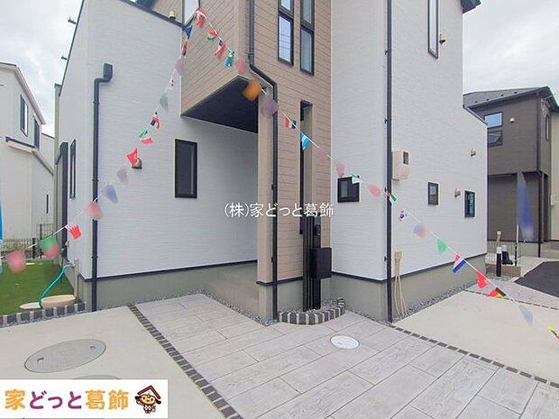 撮影日(2025-11-11 00:00:00)