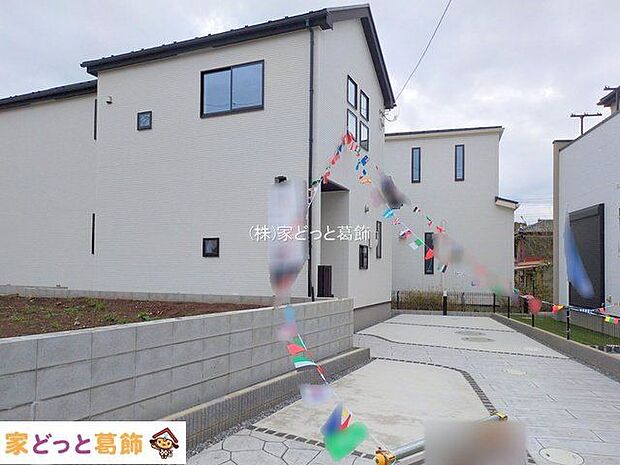 撮影日(2025-11-11 00:00:00)