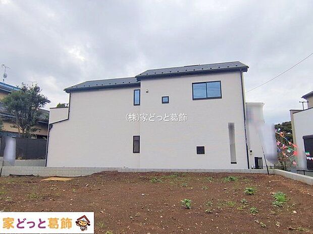 撮影日(2025-11-11 00:00:00)