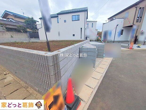 撮影日(2025-11-11 00:00:00)