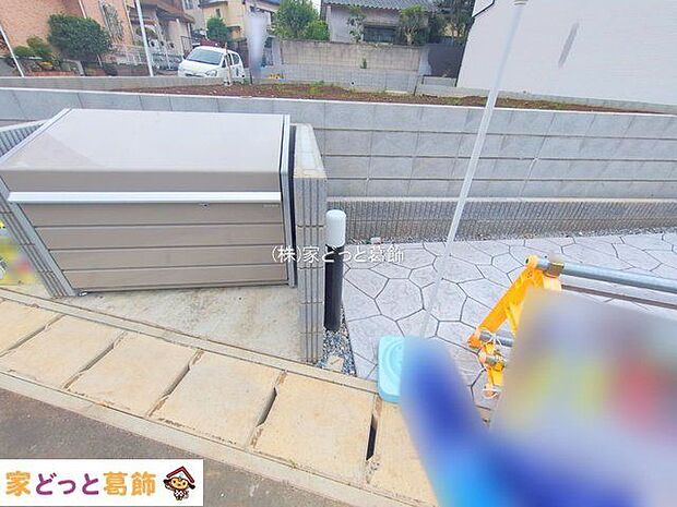 撮影日(2025-11-11 00:00:00)