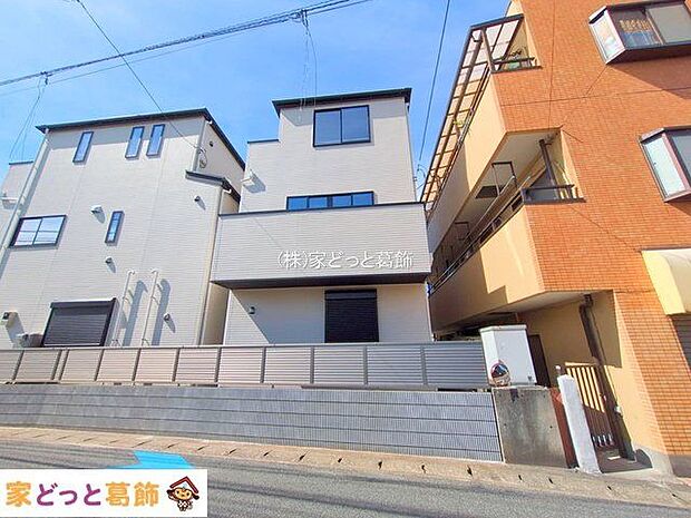 撮影日(2025-10-08 00:00:00)