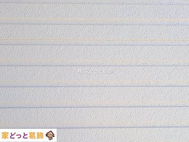 撮影日(2025-10-08 00:00:00)