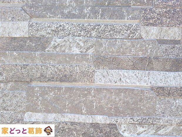 撮影日(2025-10-08 00:00:00)