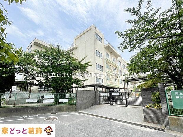 市川市立新井小学校 撮影日(2024-06-06) 250m